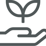Lorem Ipsum